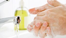 Cryptosporidium infection