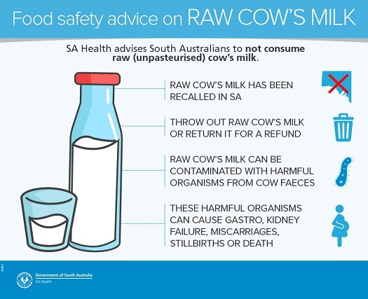 Milk - Pasteurised vs raw :: SA Health diagram of cow milk 