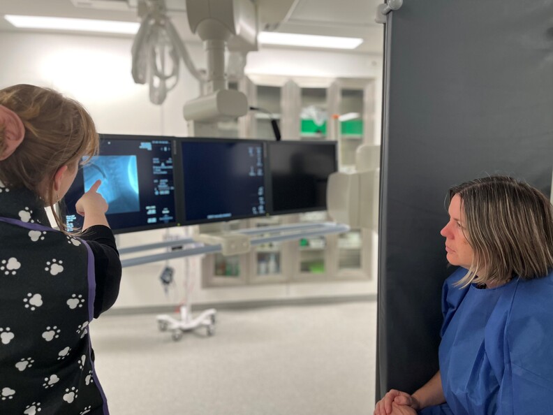 image showing how we provide feedback with the imaging taken during the assessment