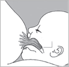 Optimal attachment when Baby Feeding