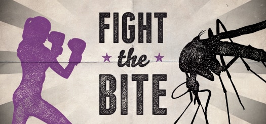 Fight the Bite resources