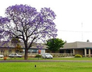 Waikerie Health Service