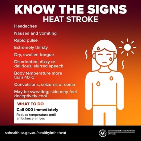 Know the signs of heat stroke. Headaches, Nausea and vomiting, Rapid pulse, Extremely thirsty, Dry, swollen tongue, Disoriented, dizzy or delirious, slurred speech